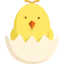 Chicken icon 64x64