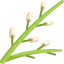 Willow icon 64x64