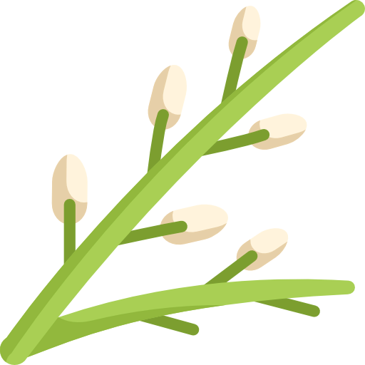 Willow icon