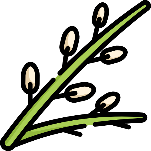 Willow icon