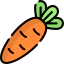 Carrot icon 64x64