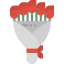 Roses іконка 64x64