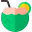 Coconut drink 图标 64x64