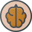 Грецкий орех иконка 64x64