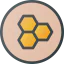 Honey ícono 64x64
