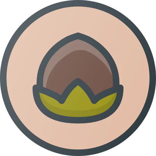 Nut icon