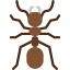 Ant icon 64x64