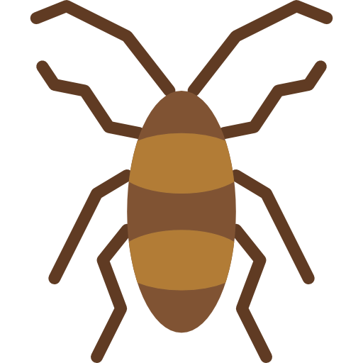 Cockroach icon