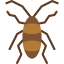 Cockroach icon 64x64