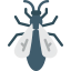 Fly icon 64x64