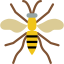 Wasp icon 64x64