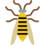 Wasp icon 64x64