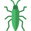 Bedbug icon 64x64