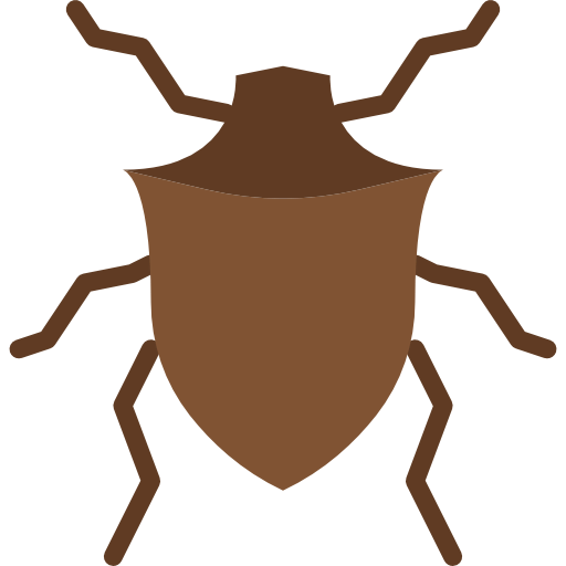 Beetle icon