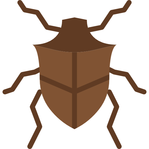 Beetle icon