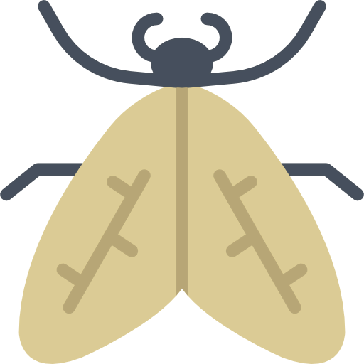Moth icon