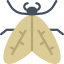 Moth icon 64x64