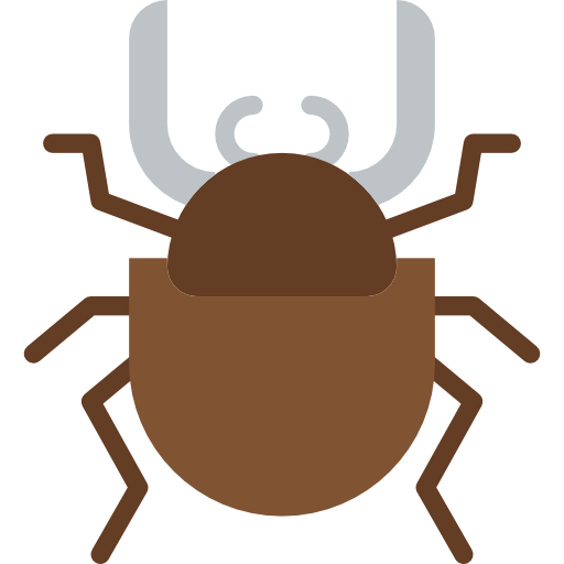 Beetle icon