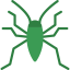 Bedbug icon 64x64