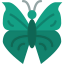 Butterfly icon 64x64