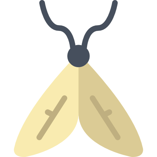 Moth 图标