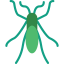 Bedbug icon 64x64
