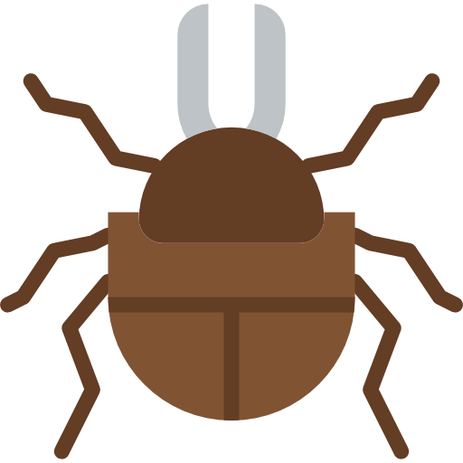 Beetle icon