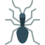 Bug icon 64x64