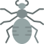 Spider icon 64x64