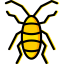 Cockroach icon 64x64