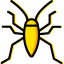 Bedbug icon 64x64