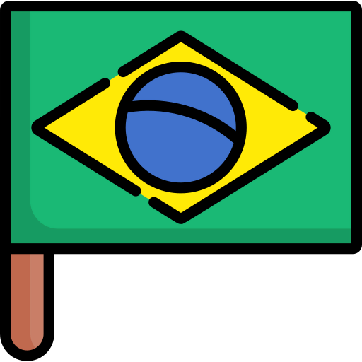 Flag icon