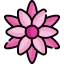 Flower icon 64x64