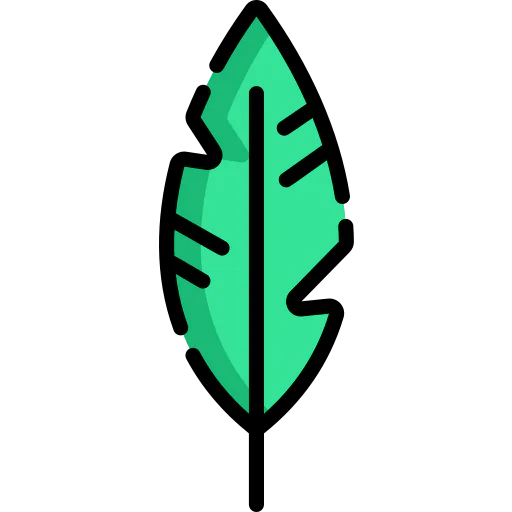 Feather icon