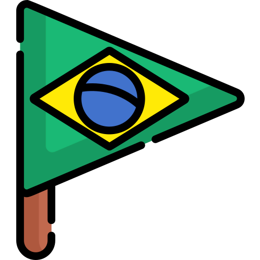 Flag icon