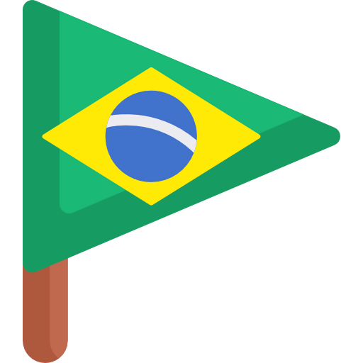 Flag icon