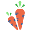 Carrots icon 64x64