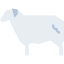 Sheep icon 64x64