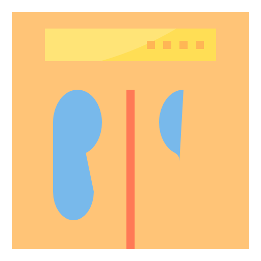 Scale icon