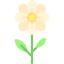 Flower icon 64x64