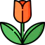 Tulip 图标 64x64