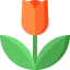 Tulip icon 64x64