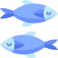 Herring icon 64x64