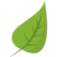 Leaf 상 64x64