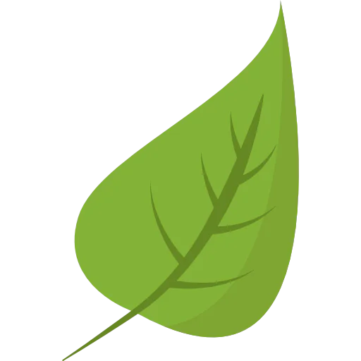 Leaf icon