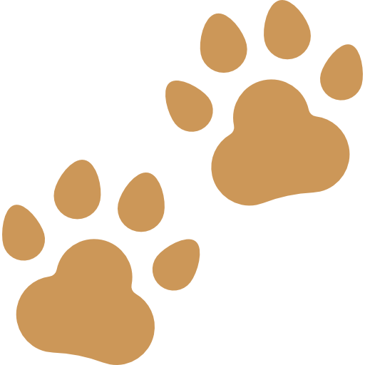 Pawprints icon