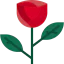 Rose icon 64x64