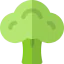 Broccoli icon 64x64