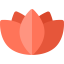 Lotus icon 64x64