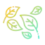 Leaf 图标 64x64